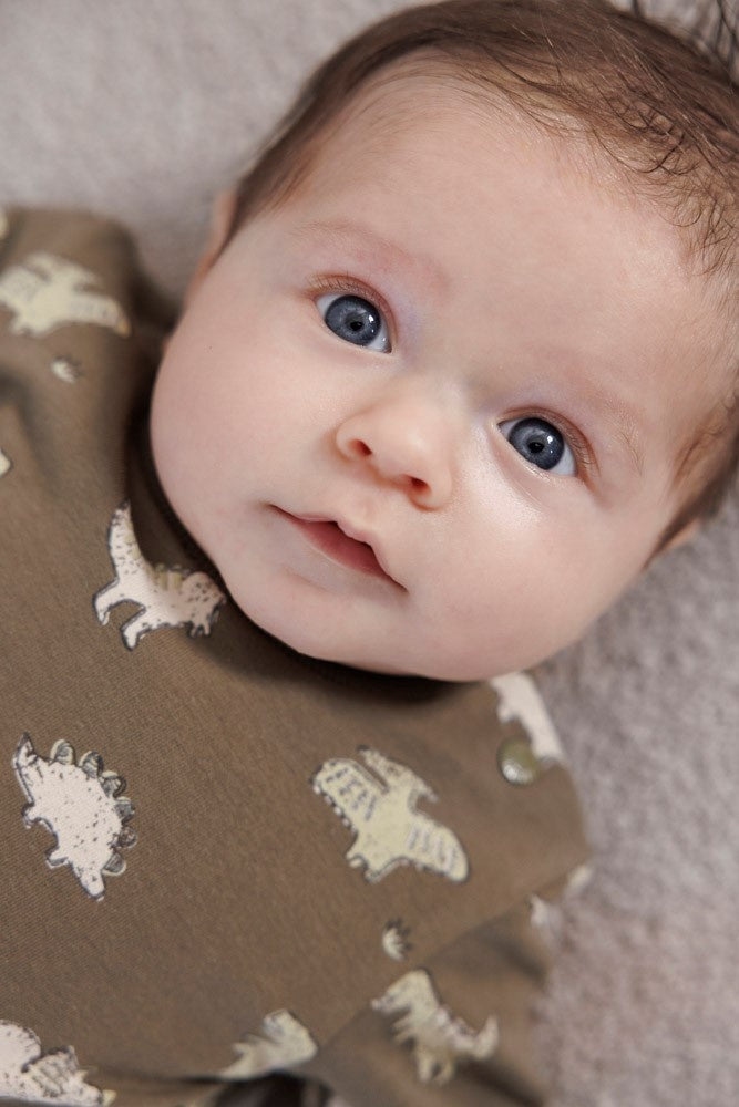 Sweater Olijf - Rawrsome