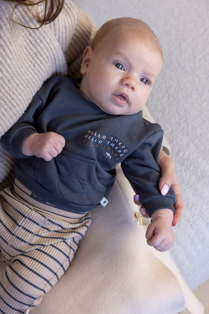 Sweater Blauwgrijs - Narwal