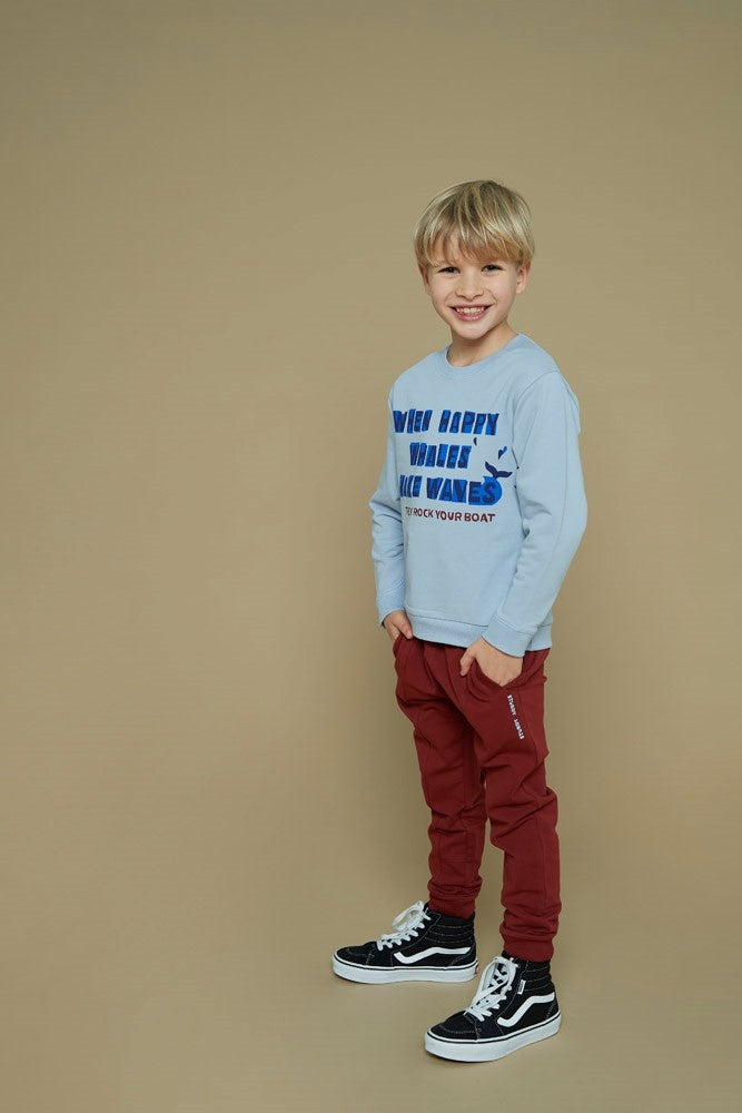 Sweater Blauw - Waves and Whales