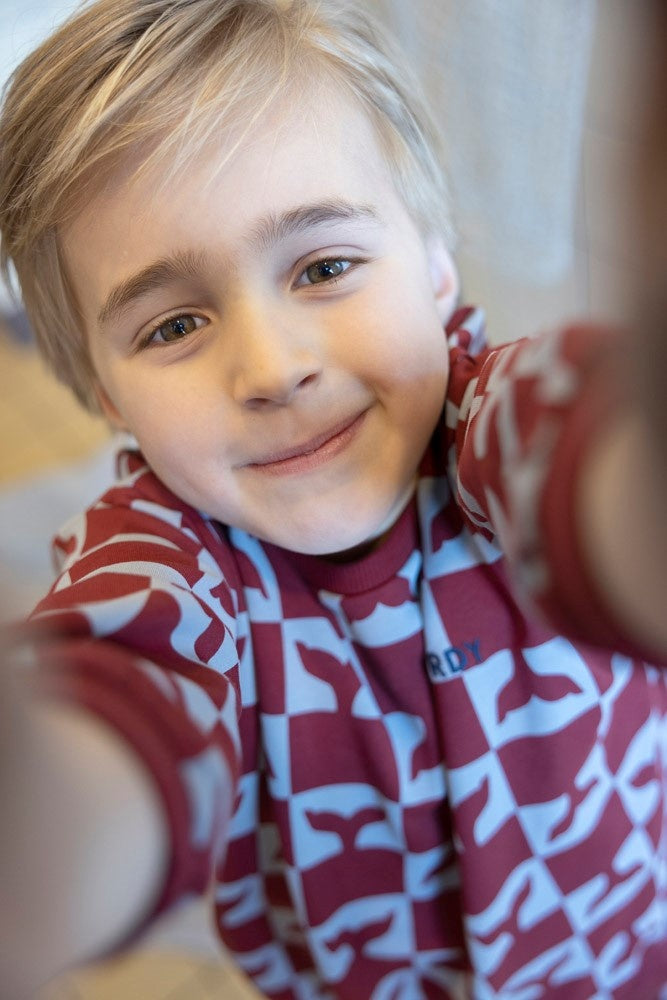 Sweater Bordeaux - Waves and Whales