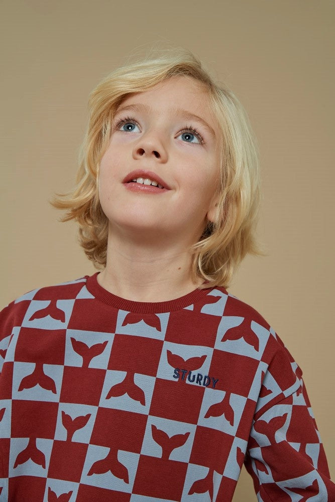 Sweater Bordeaux - Waves and Whales