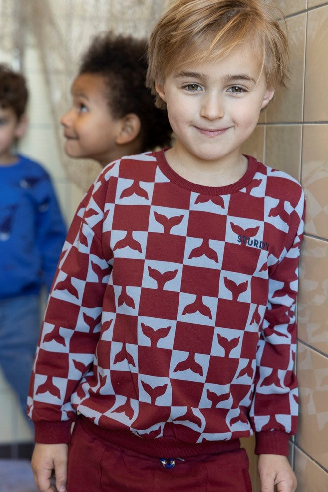 Sweater Bordeaux - Waves and Whales
