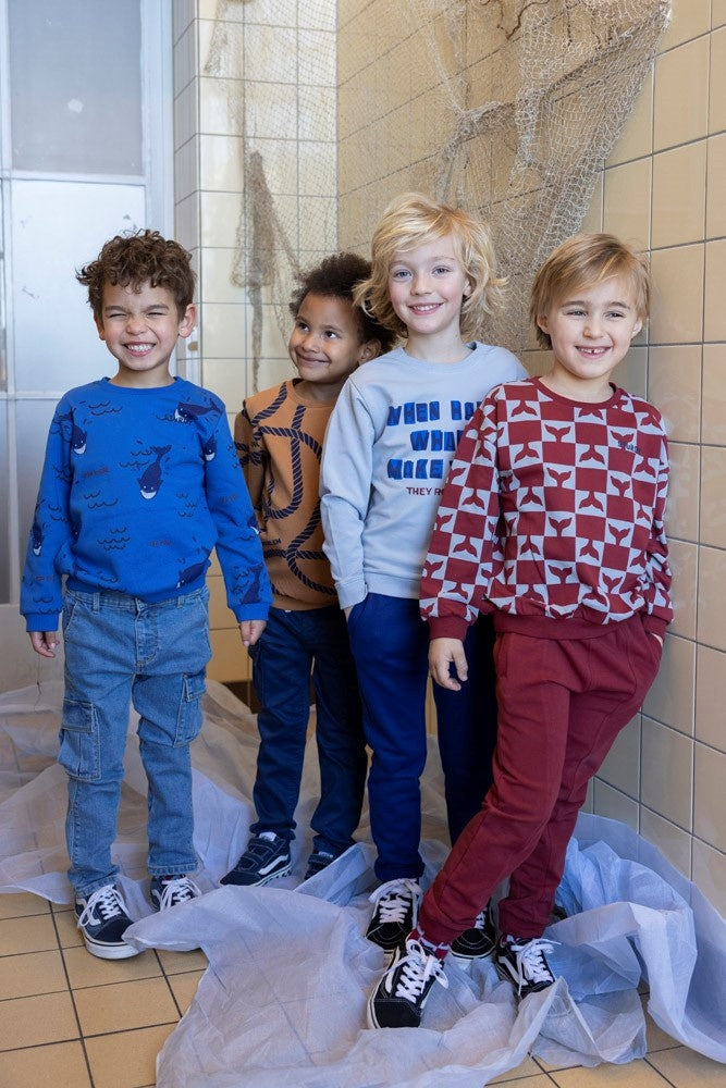 Sweater Aqua - Waves and Whales