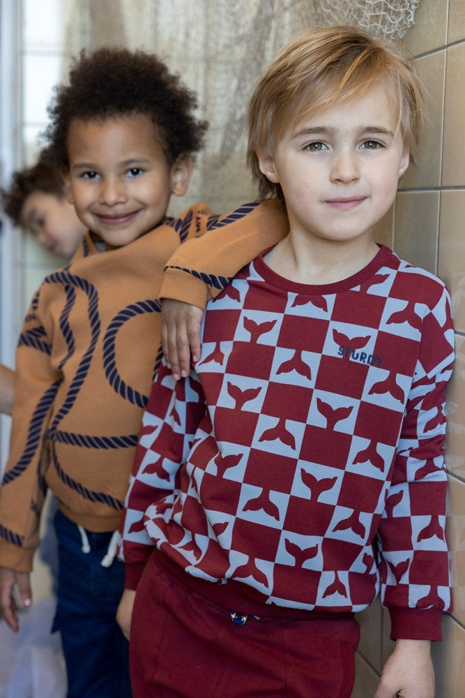 Sweater Hazelnoot - Waves and Whales