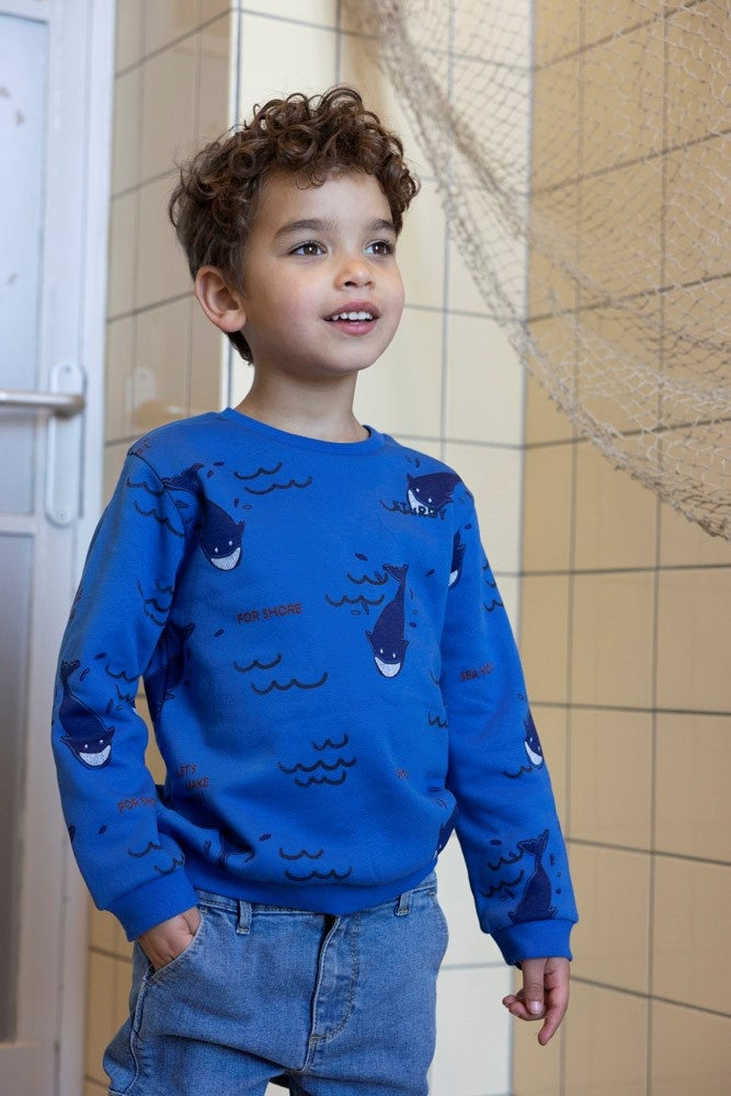 Sweater Aqua - Waves and Whales