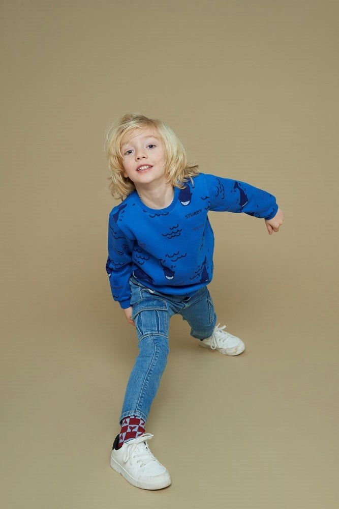 Sokken Bordeaux - Waves and Whales