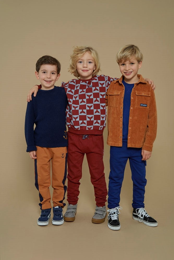 Sweater gebreid Marine - Waves and Whales