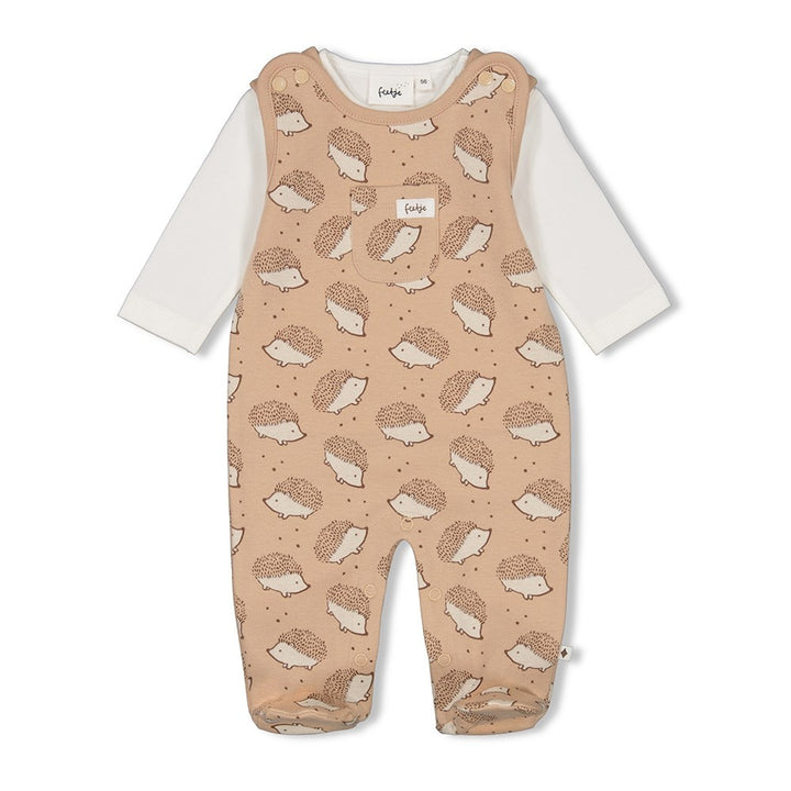 2 - Dlg Boxpak Zand - Hedge Hugs