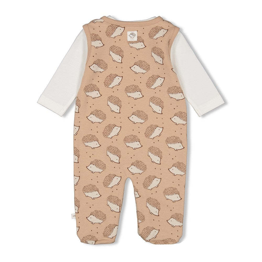 2 - Dlg Boxpak Zand - Hedge Hugs