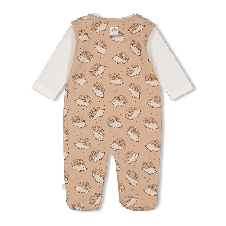 2 - Dlg Boxpak Zand - Hedge Hugs