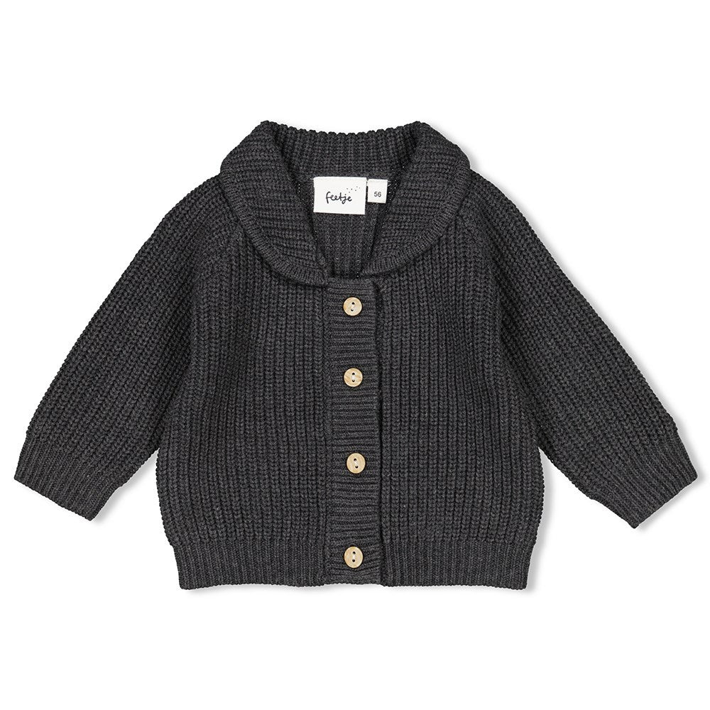 Vestje gebreid Antraciet melange - Into The Forest