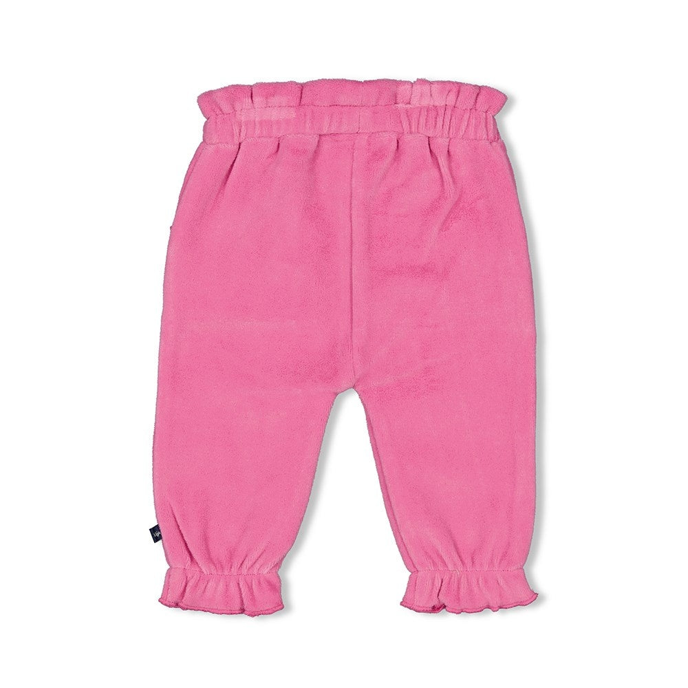 Broek velours Roze - Midnight Flowers