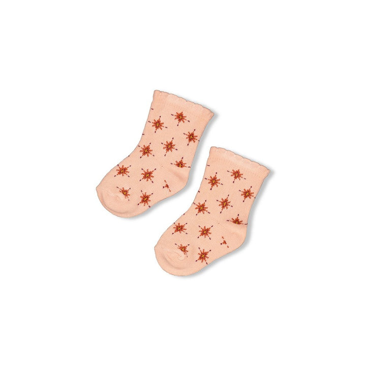 Sok l.Roze - Winter Nomad