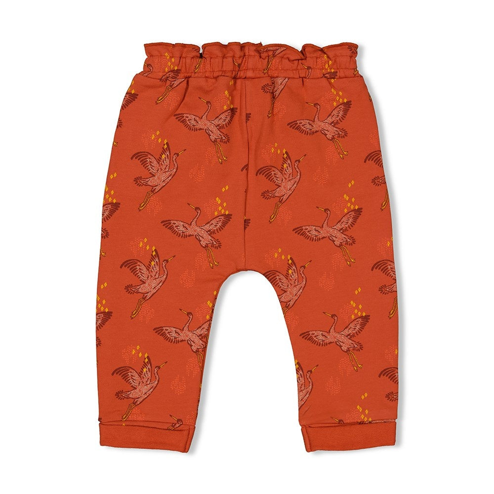 Broek Terracotta - Winter Nomad