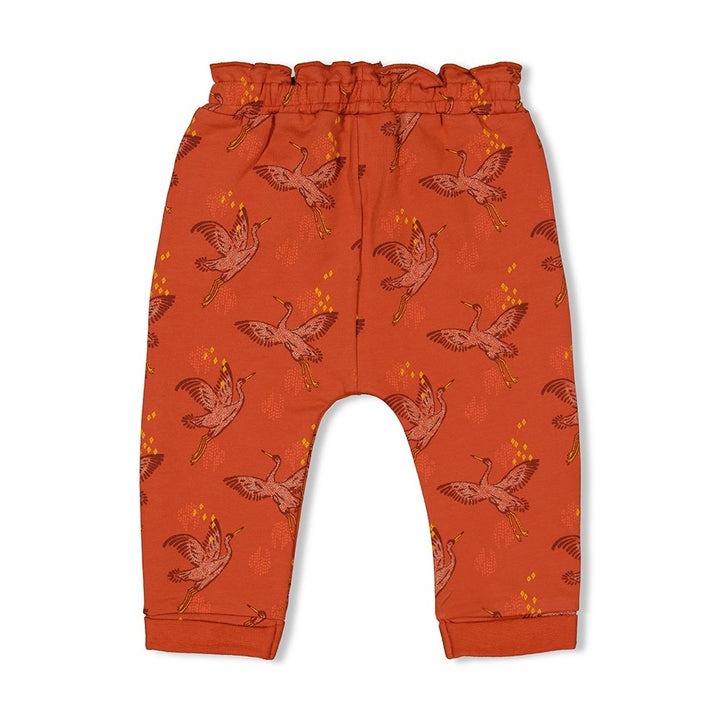 Broek Terracotta - Winter Nomad