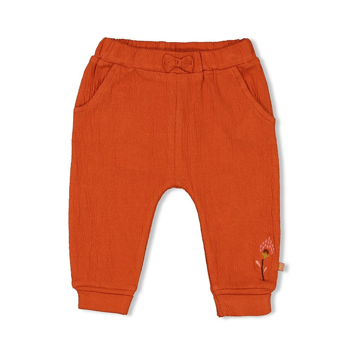 Broek Terracotta - Winter Nomad