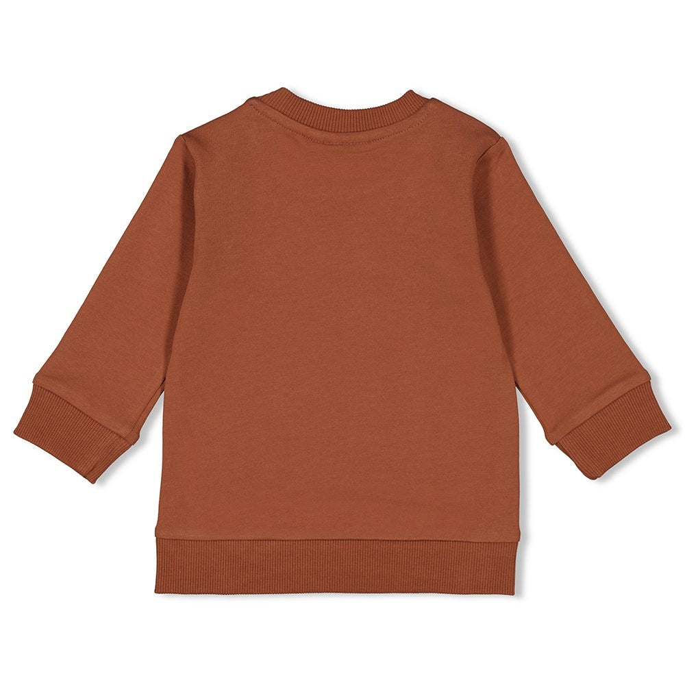 Sweater Bruin - Go Fetch