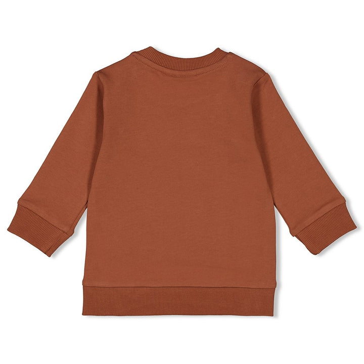 Sweater Bruin - Go Fetch