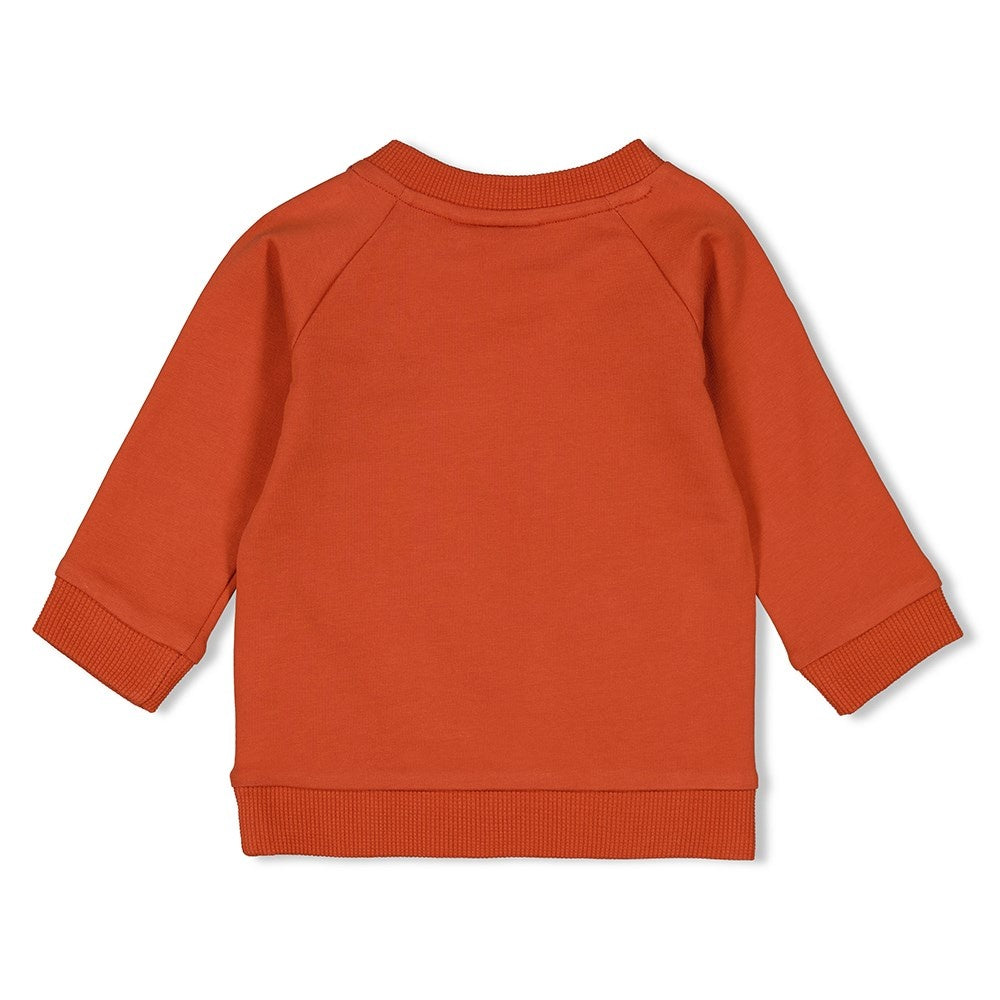 Sweater Brique - Go Fetch