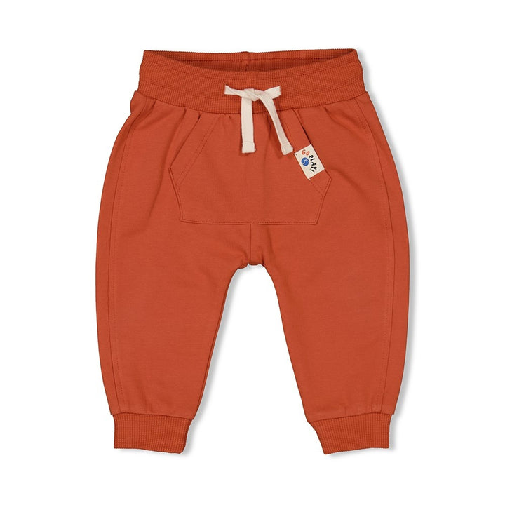 Broek Brique - Go Fetch