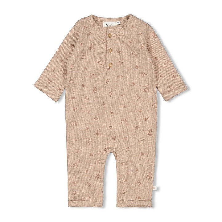 Pak rib Hazelnoot melange - Fall Favorites