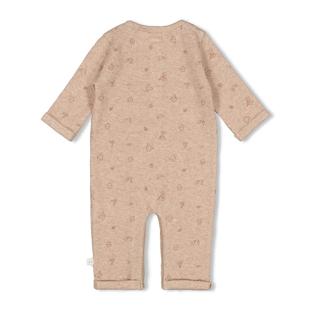 Pak rib Hazelnoot melange - Fall Favorites