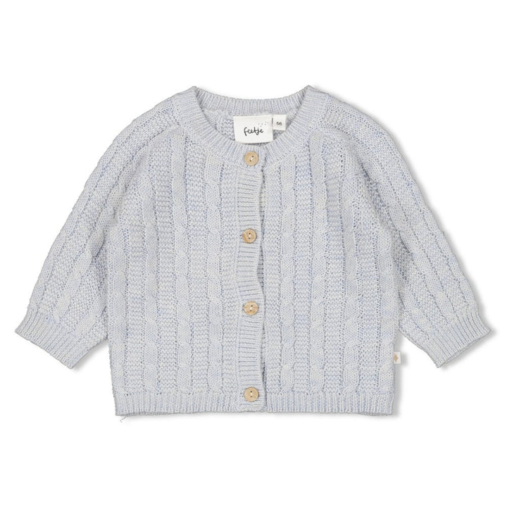 Vestje gebreid Blauw melange - The Knits