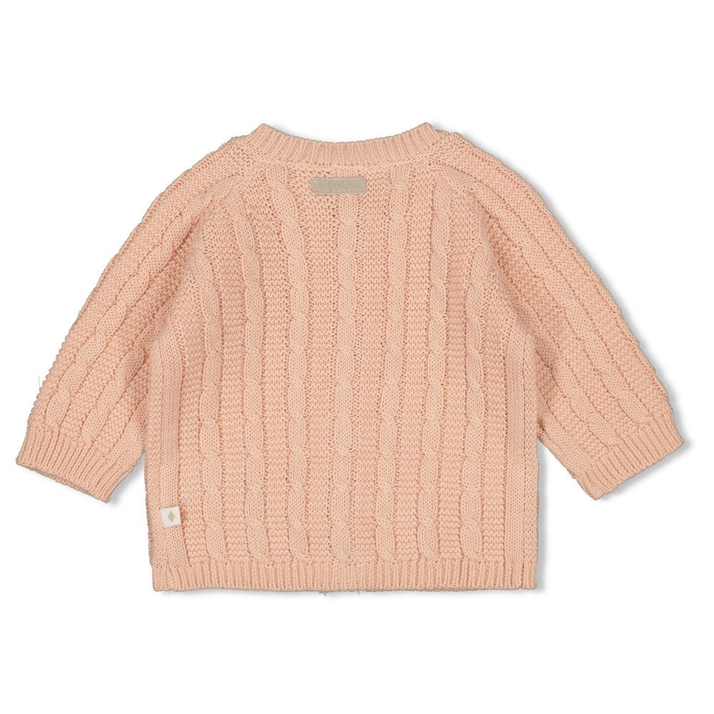 Vestje gebreid Roze - The Knits