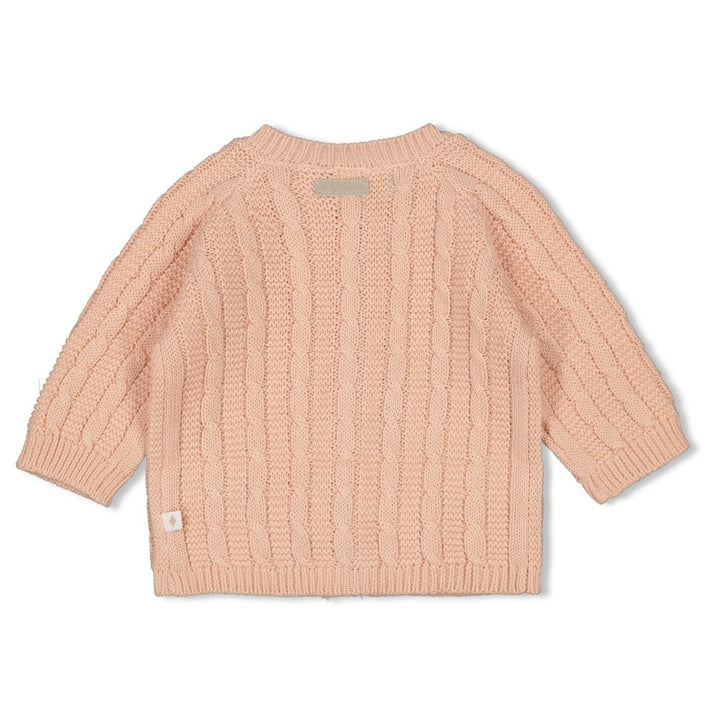 Vestje gebreid Roze - The Knits