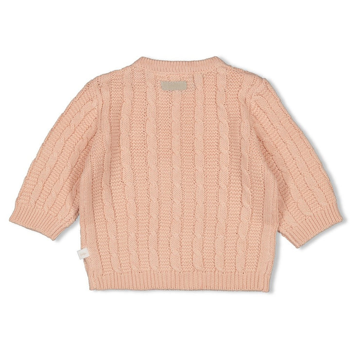 Sweater gebreid Roze - The Knits