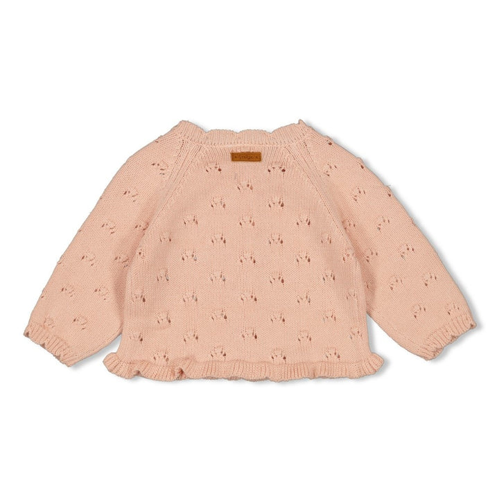 Vestje gebreid l.Roze - Morning Sun