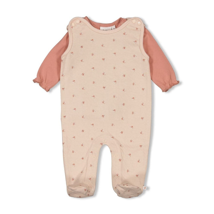 2 - Dlg Boxpak l.Roze - Morning Sun