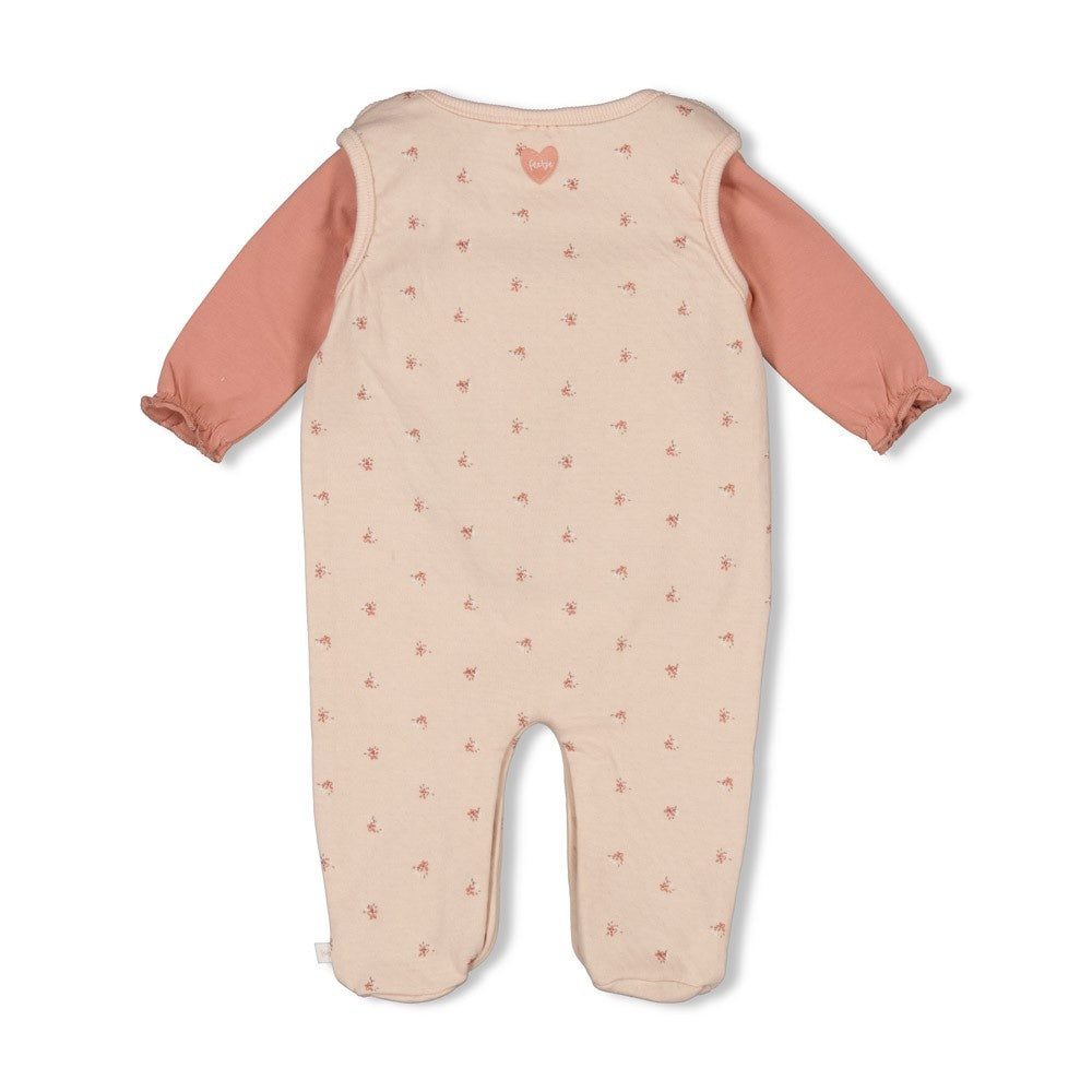 2 - Dlg Boxpak l.Roze - Morning Sun