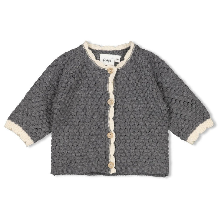 Vestje gebreid Antraciet melange - Fields of Green