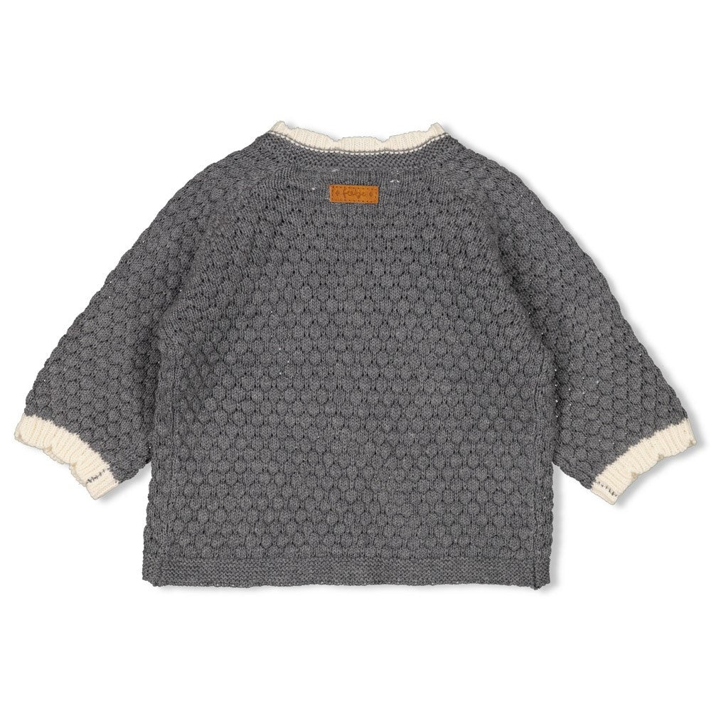 Vestje gebreid Antraciet melange - Fields of Green