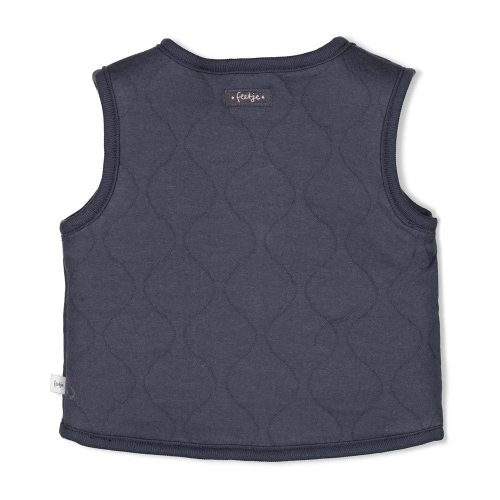 Omkeerbaar teddy gilet Blauwgrijs - Narwal