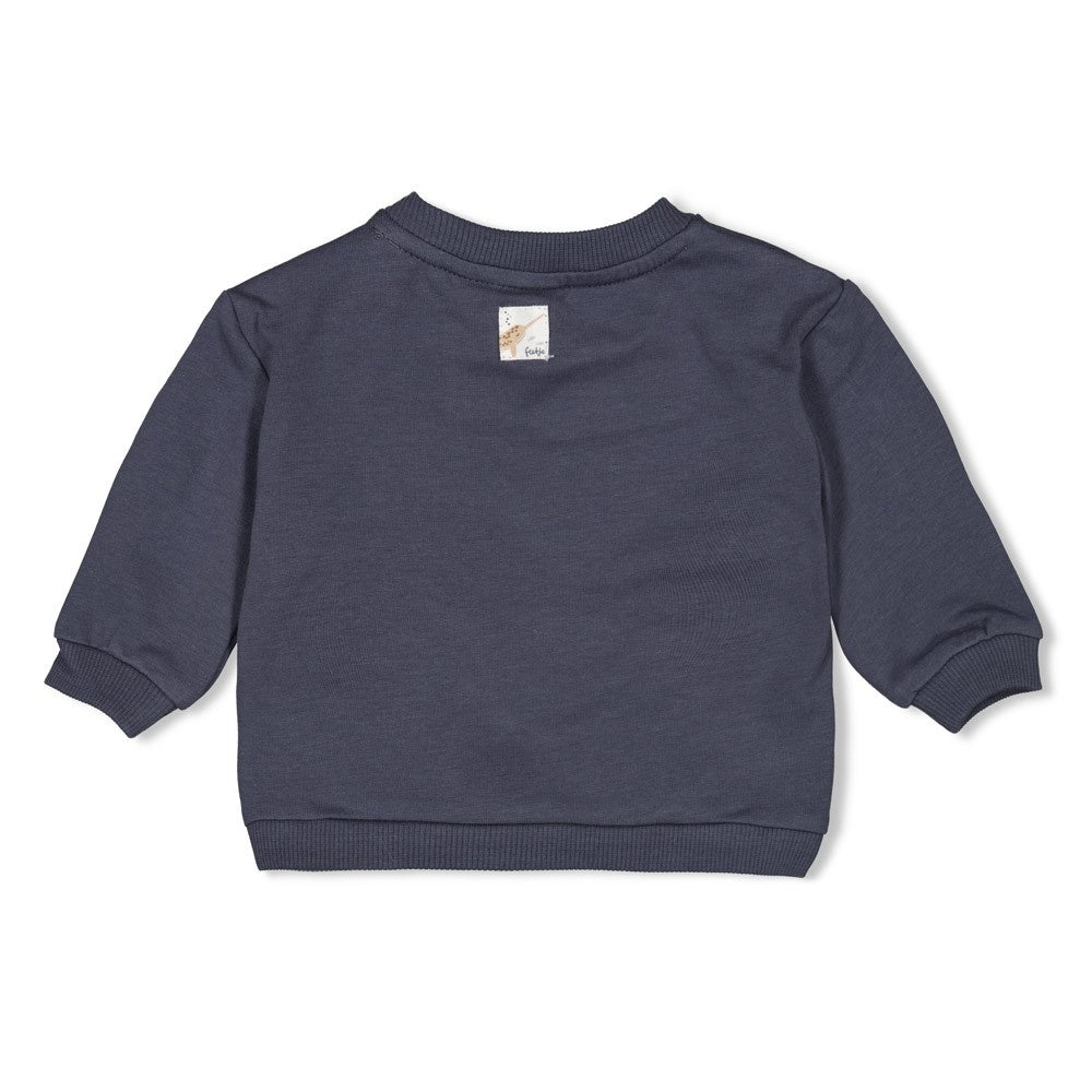 Sweater Blauwgrijs - Narwal