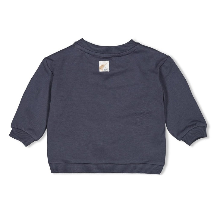 Sweater Blauwgrijs - Narwal