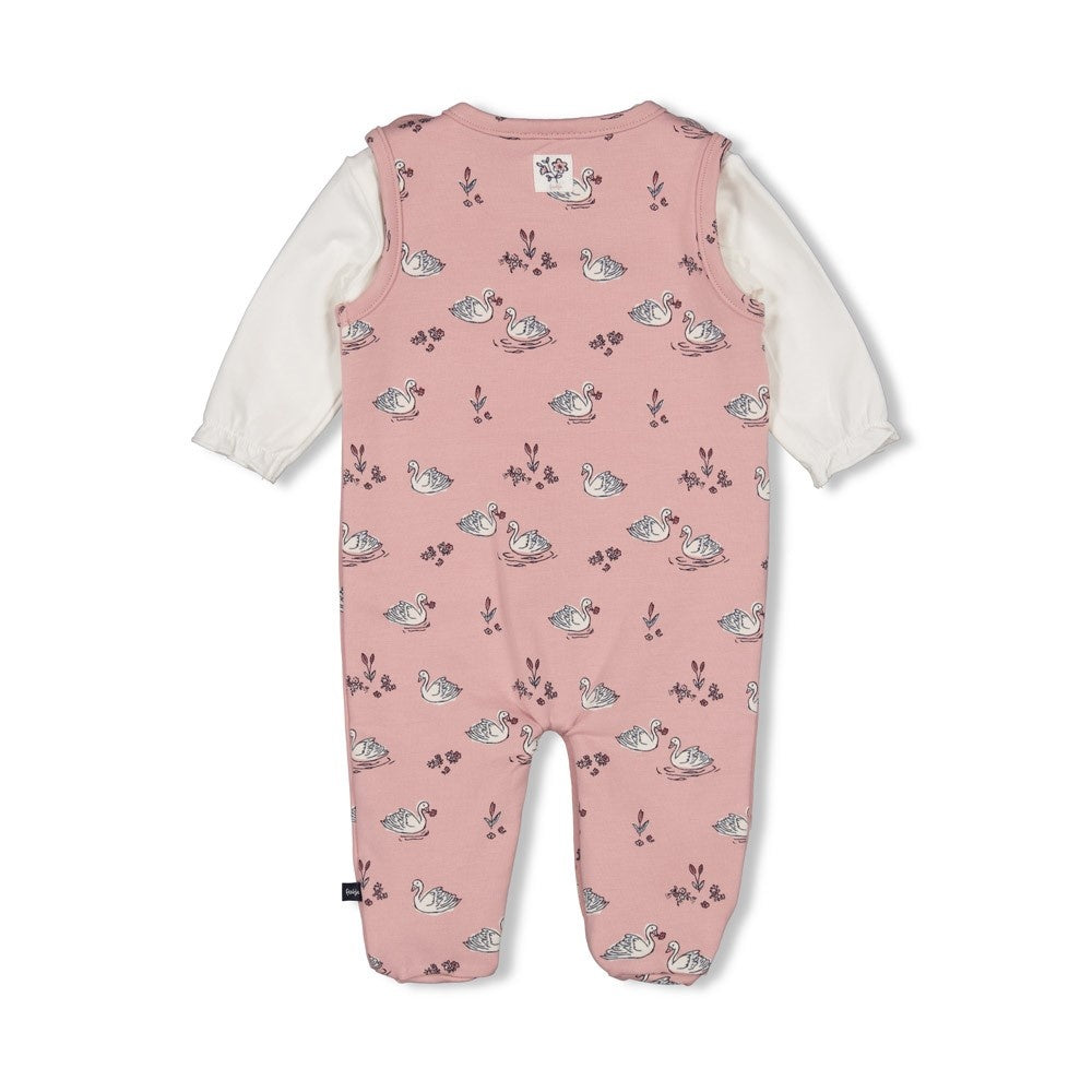 2 - Dlg Boxpak Roze - Swanlake