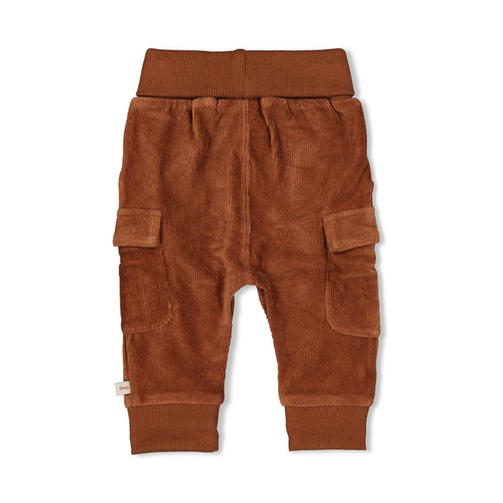 Broek velours rib Bruin - Wild World