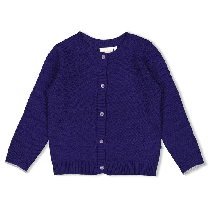 Vest gebreid Indigo - Wild Soul