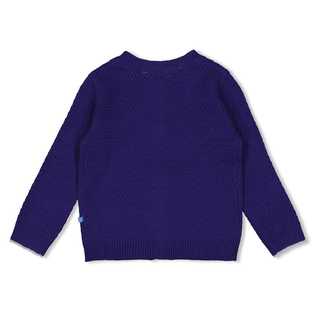 Vest gebreid Indigo - Wild Soul