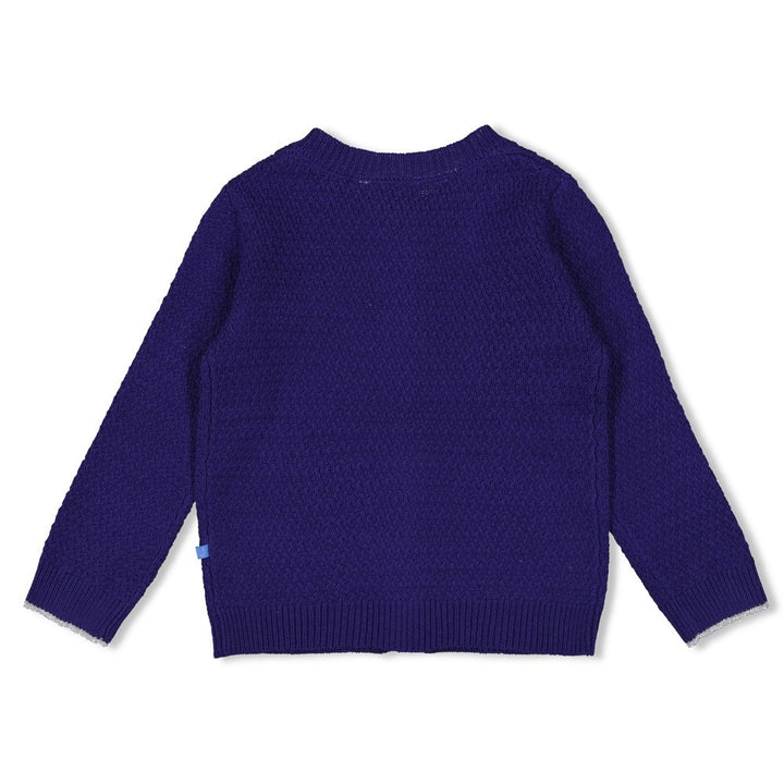 Vest gebreid Indigo - Wild Soul