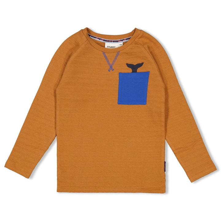 Longsleeve Hazelnoot - Waves and Whales