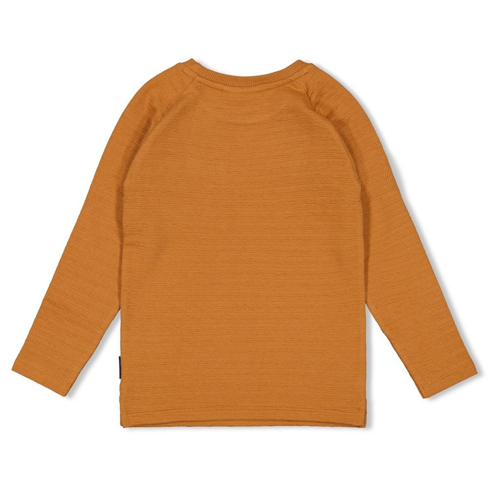 Longsleeve Hazelnoot - Waves and Whales