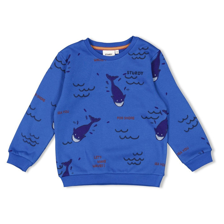 Sweater Aqua - Waves and Whales