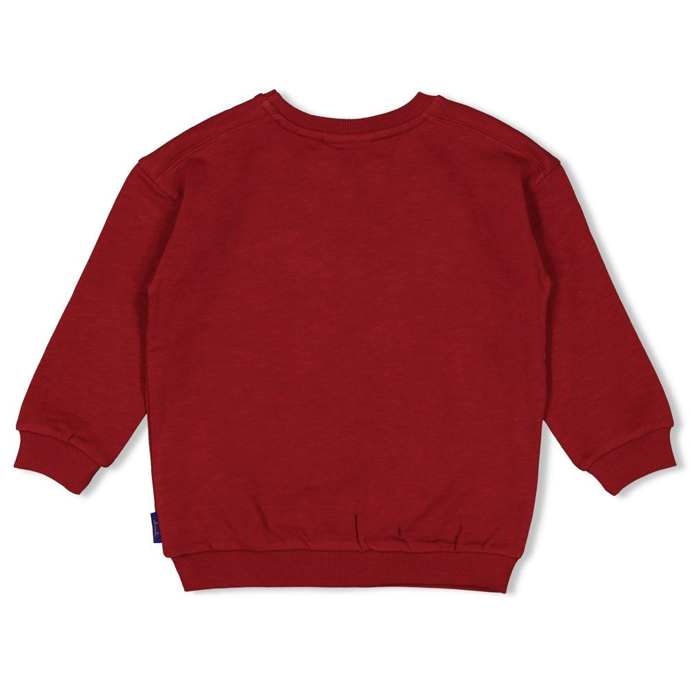 Sweater Bordeaux - Waves and Whales