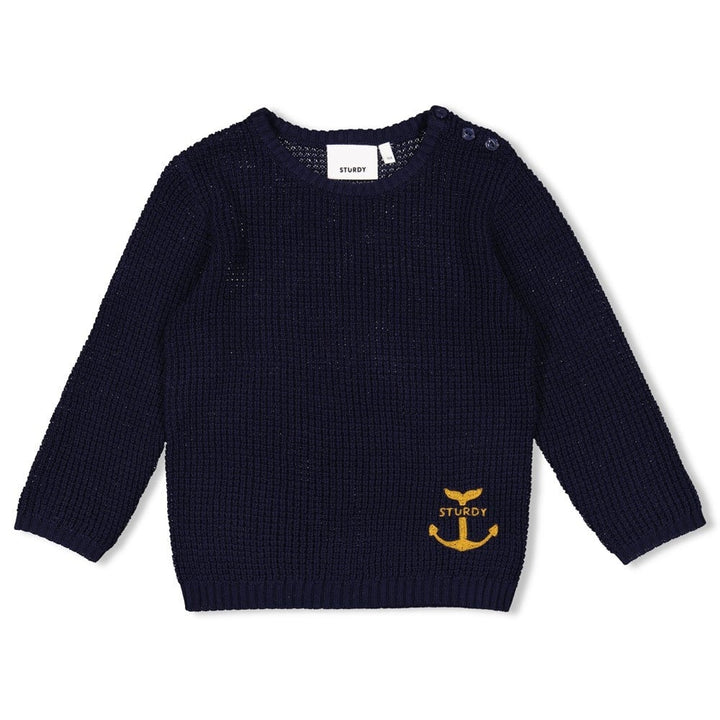 Sweater gebreid Marine - Waves and Whales