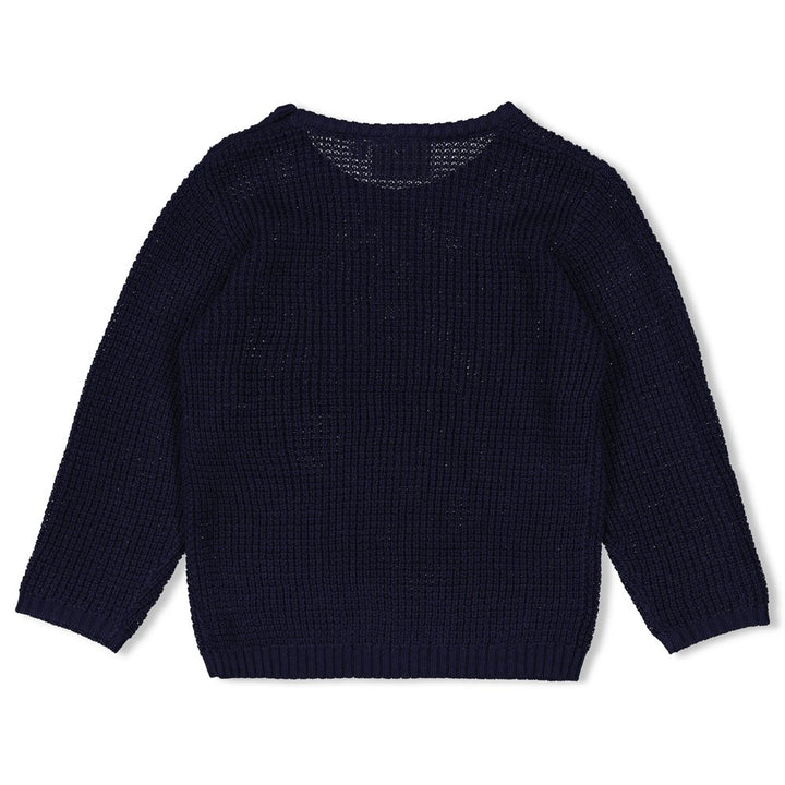 Sweater gebreid Marine - Waves and Whales