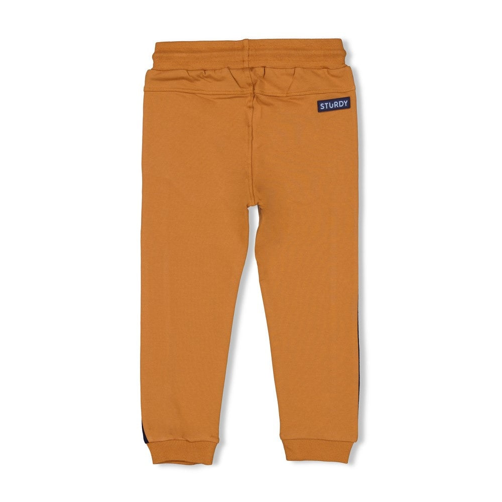 Broek Hazelnoot - Waves and Whales